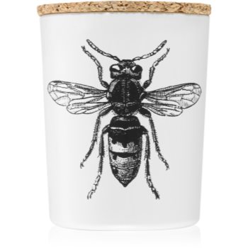 Vila Hermanos Insect Calabrone lumânare parfumată - imagine 2